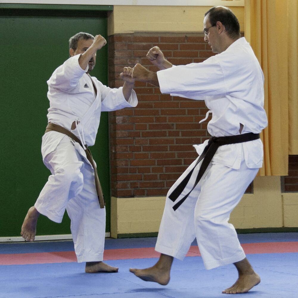 dl_karate