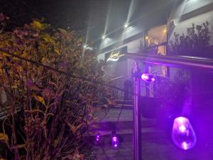 PXL_20251210_204716599