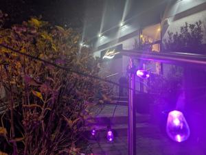 PXL_20251210_204718090